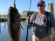 cubera snapper
