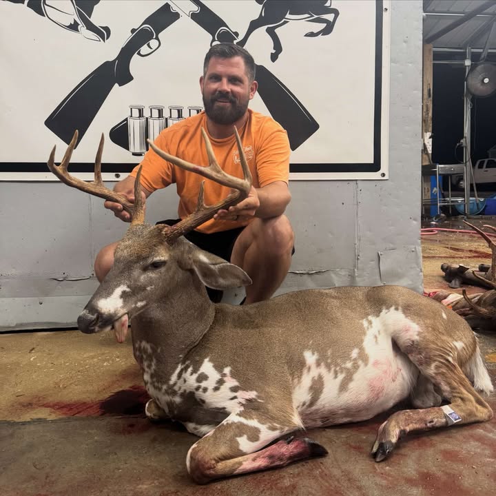 Pee Dee buck
