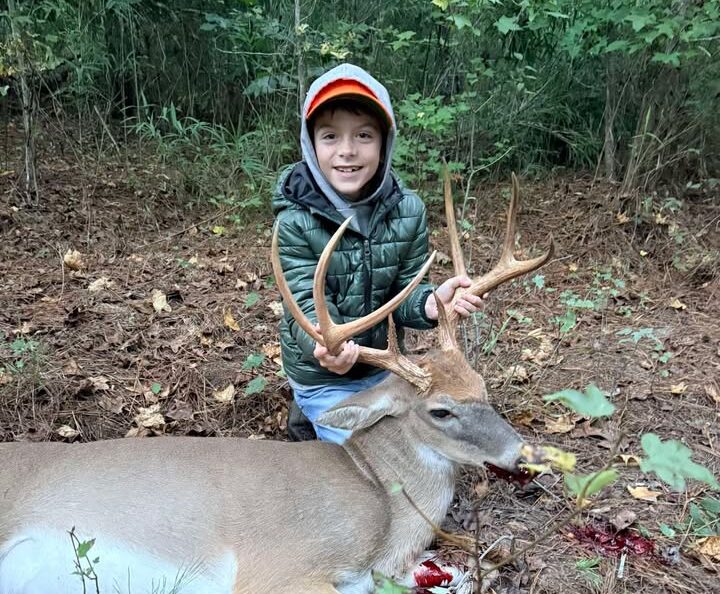 8-point buck