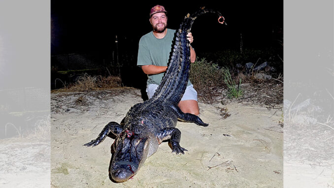gator