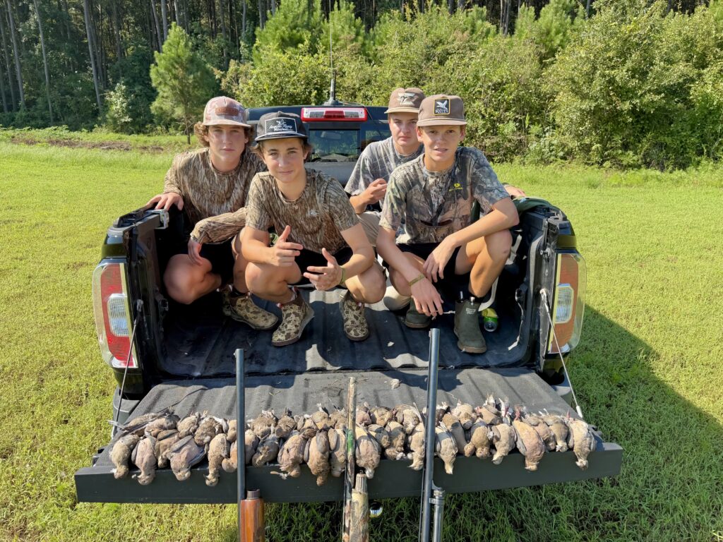 dove hunt