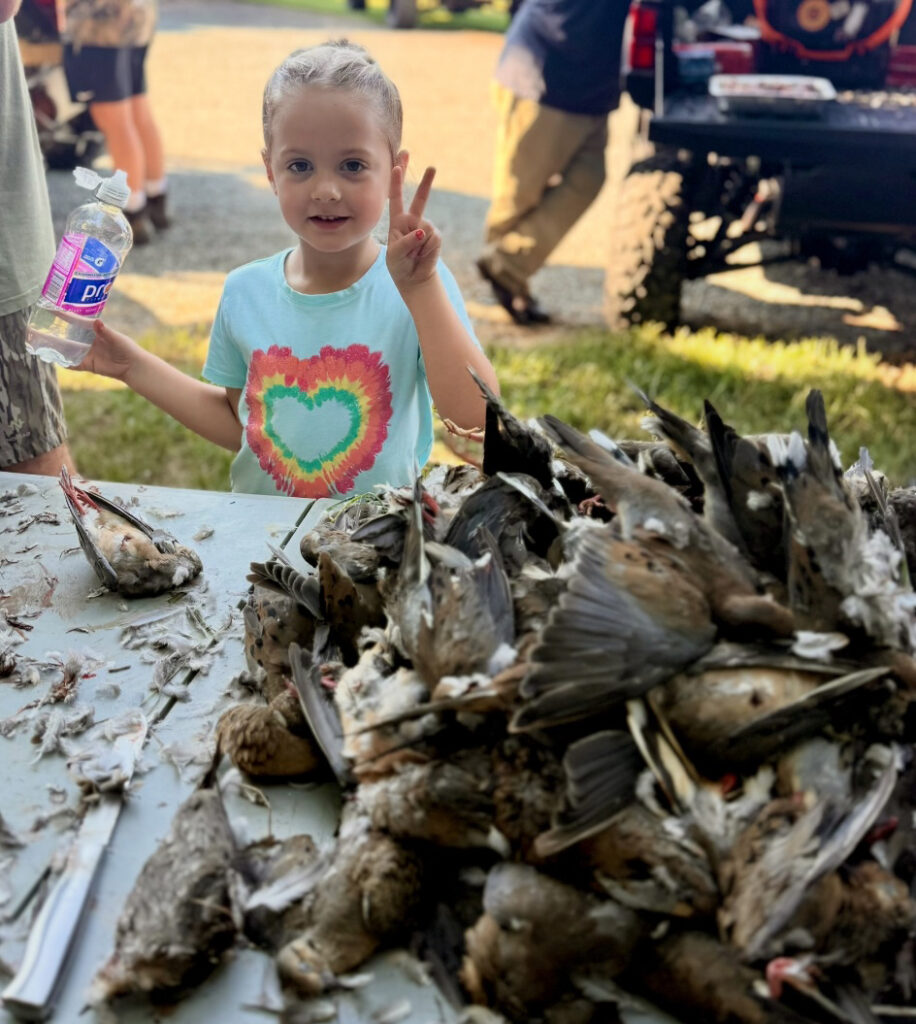 dove hunt