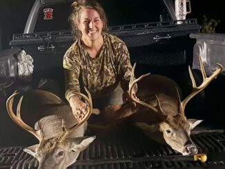 bucks