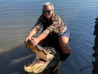 gator