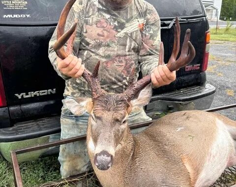 buck