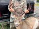buck
