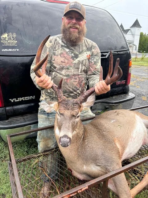 buck