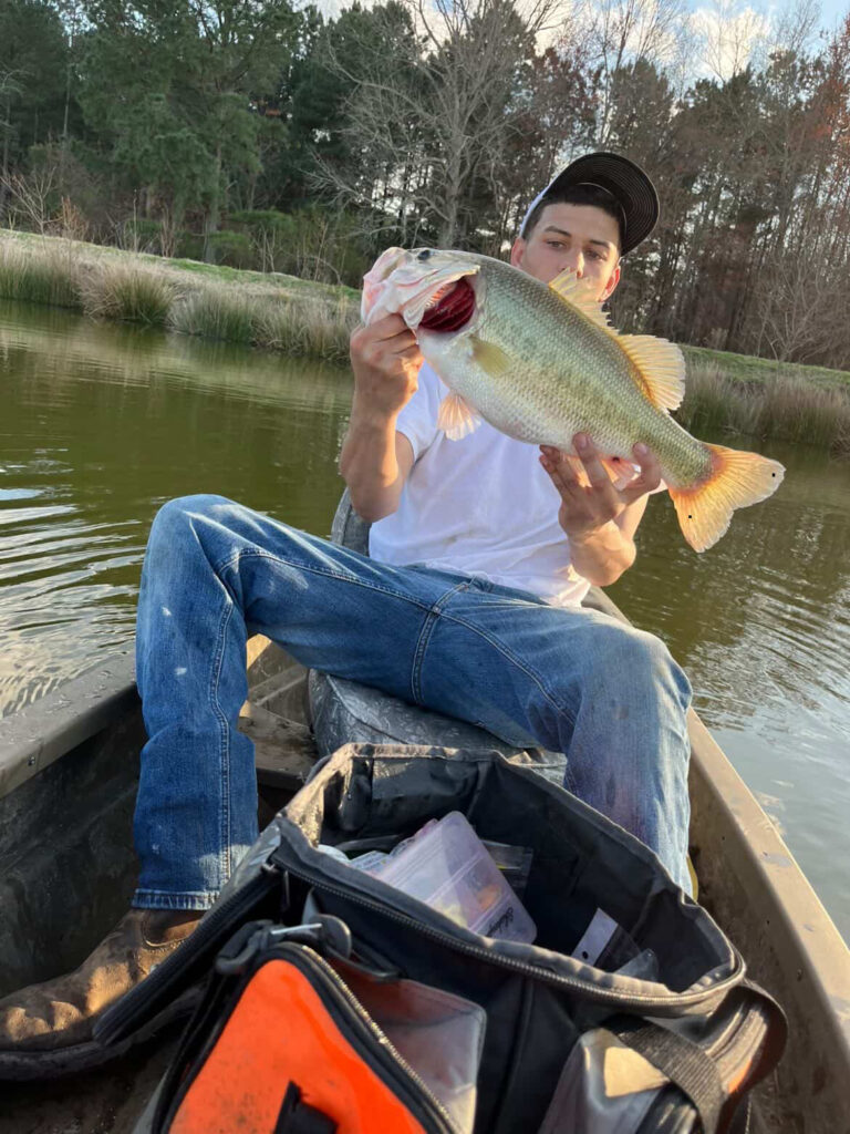 bass