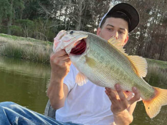 bass