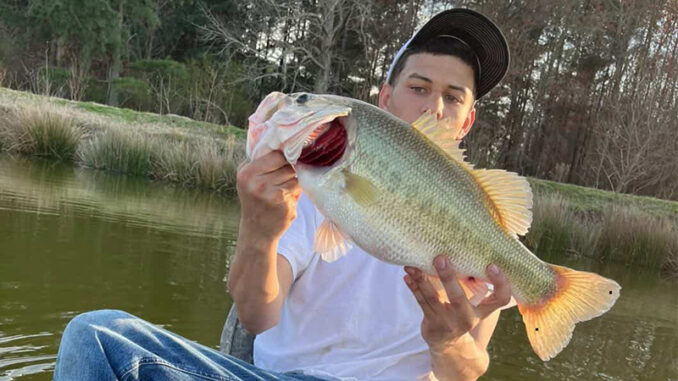 bass