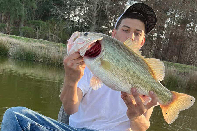 bass