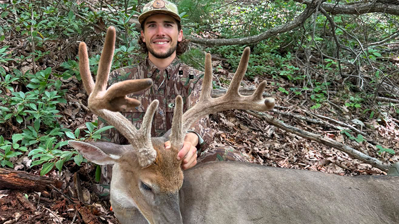 Michael Smith killed a nice velvet buck during an early-season 2026 hunt in Surry County, NC.