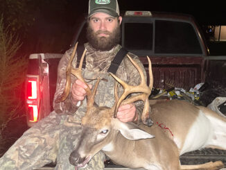 12-point buck