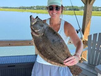 flounder
