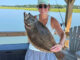 flounder