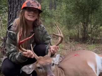 buck