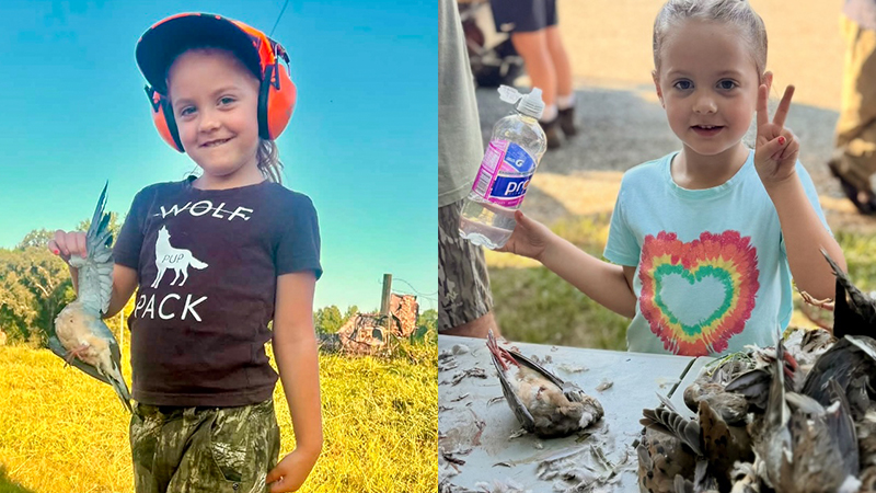 dove hunt