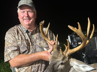 13-point buck