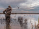 waterfowl