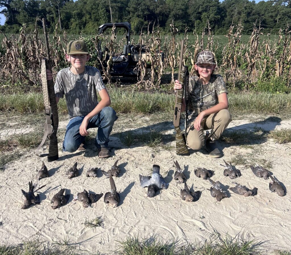dove hunt