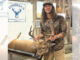 buck