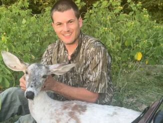 piebald doe