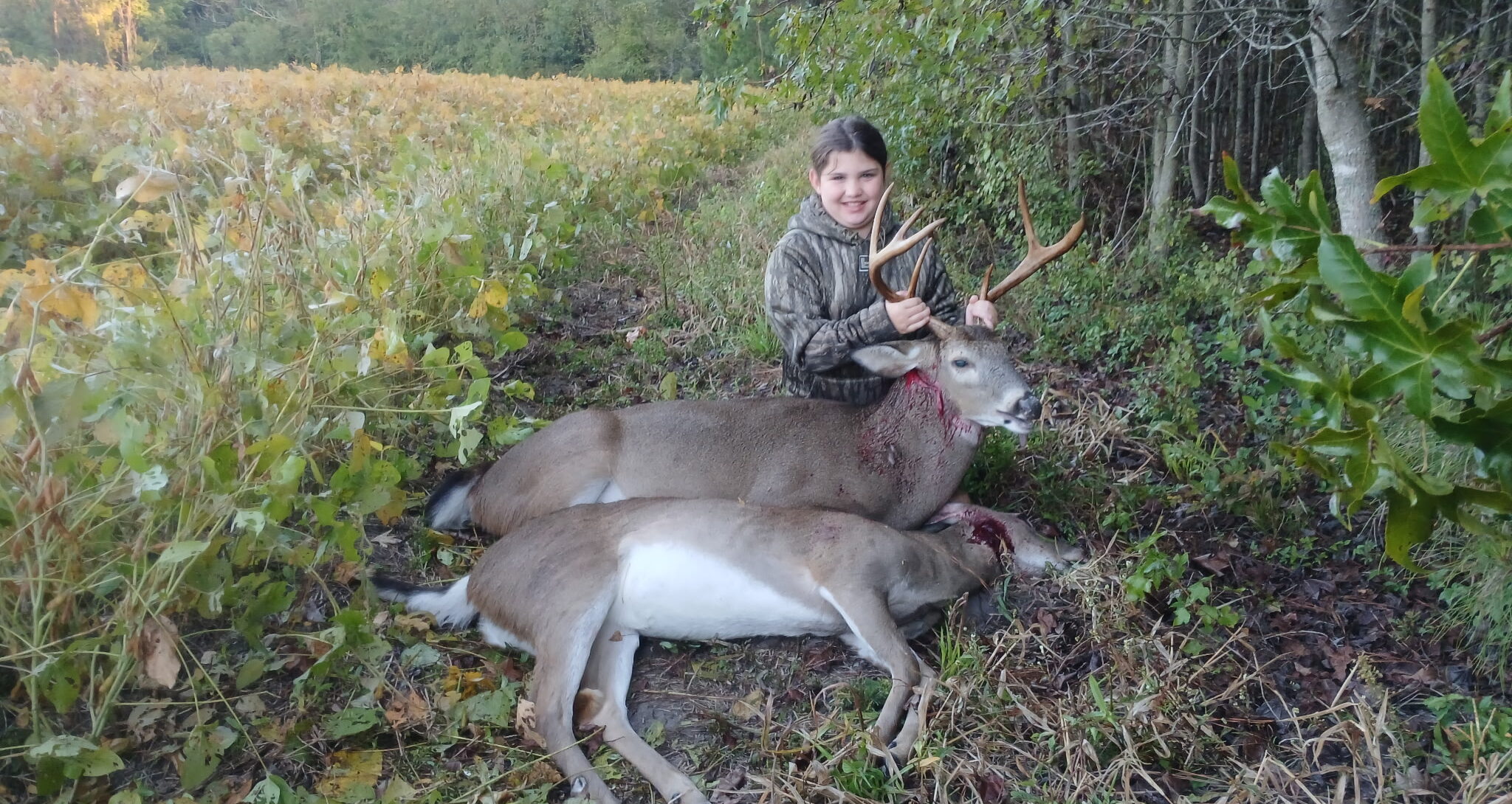 buck