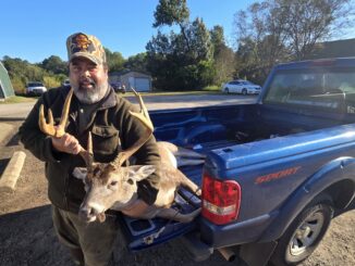 buck