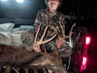 buck