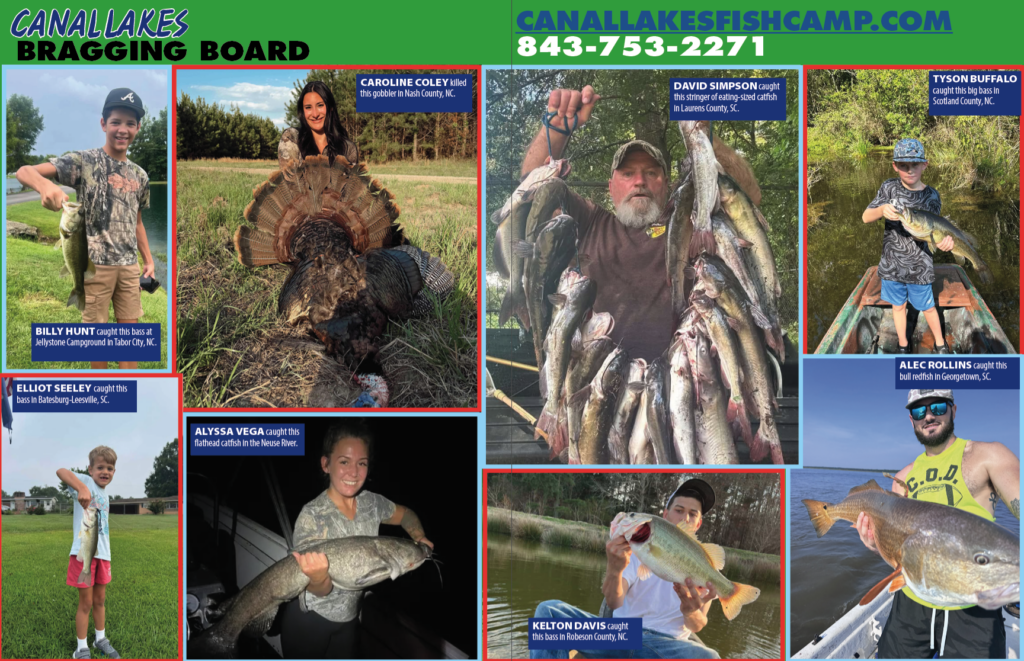Bragging Board