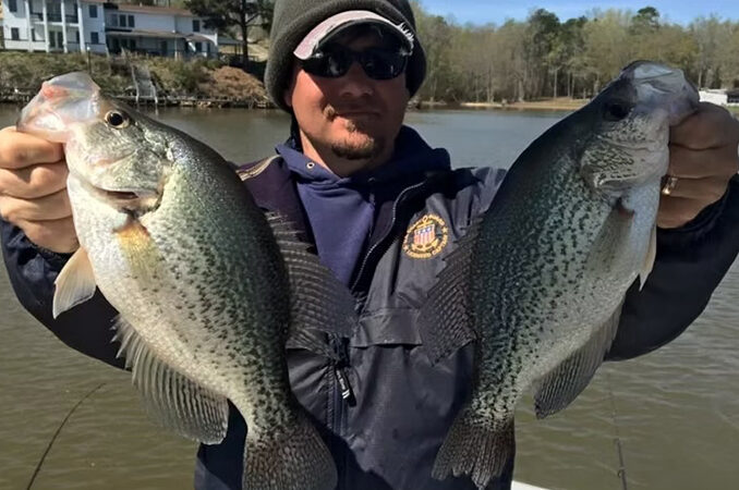 crappie