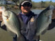 crappie