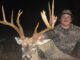 buck