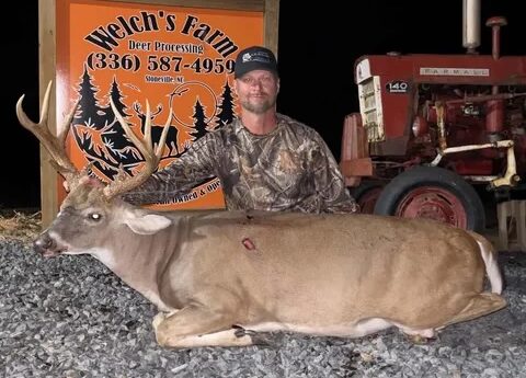 buck