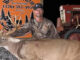 buck