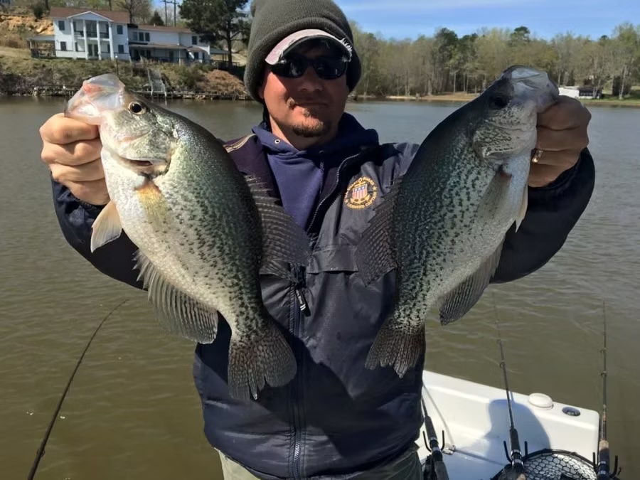 crappie