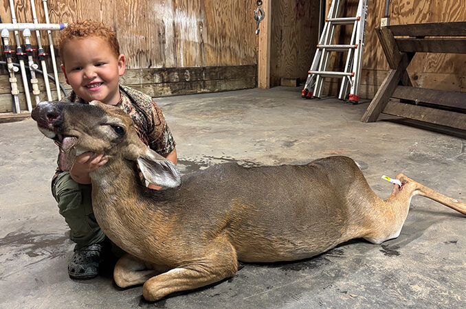 deer