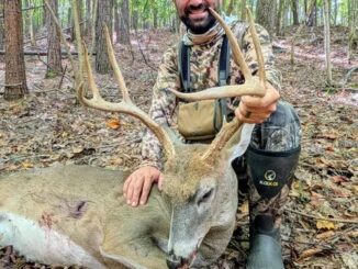 buck