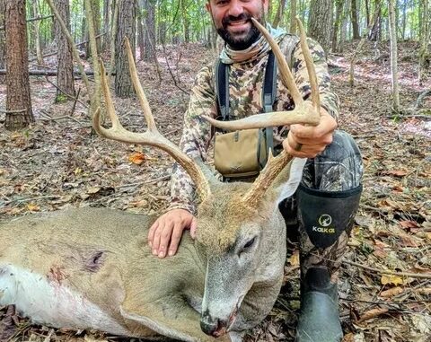 buck