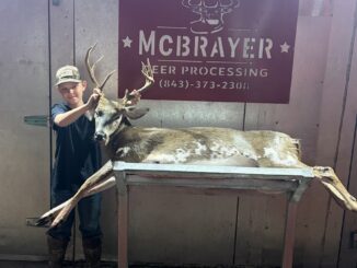 buck