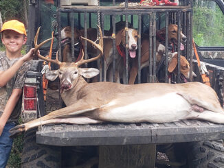 buck