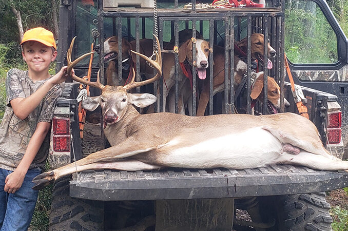 buck