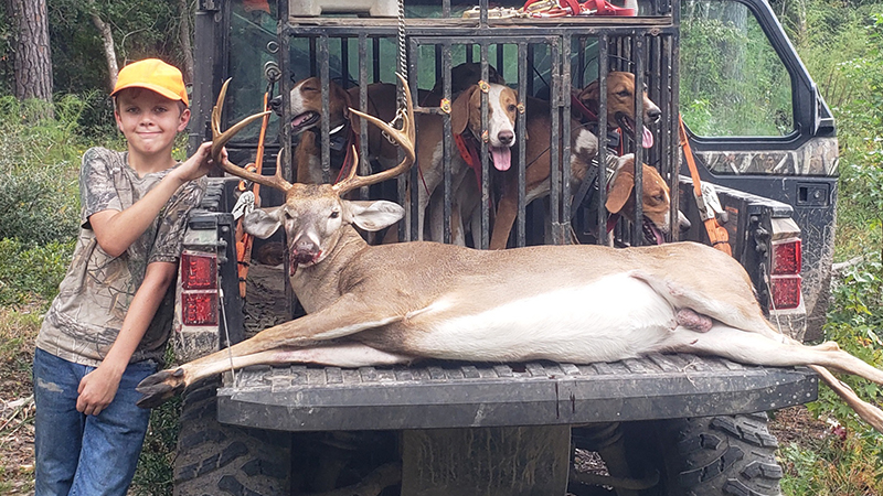buck