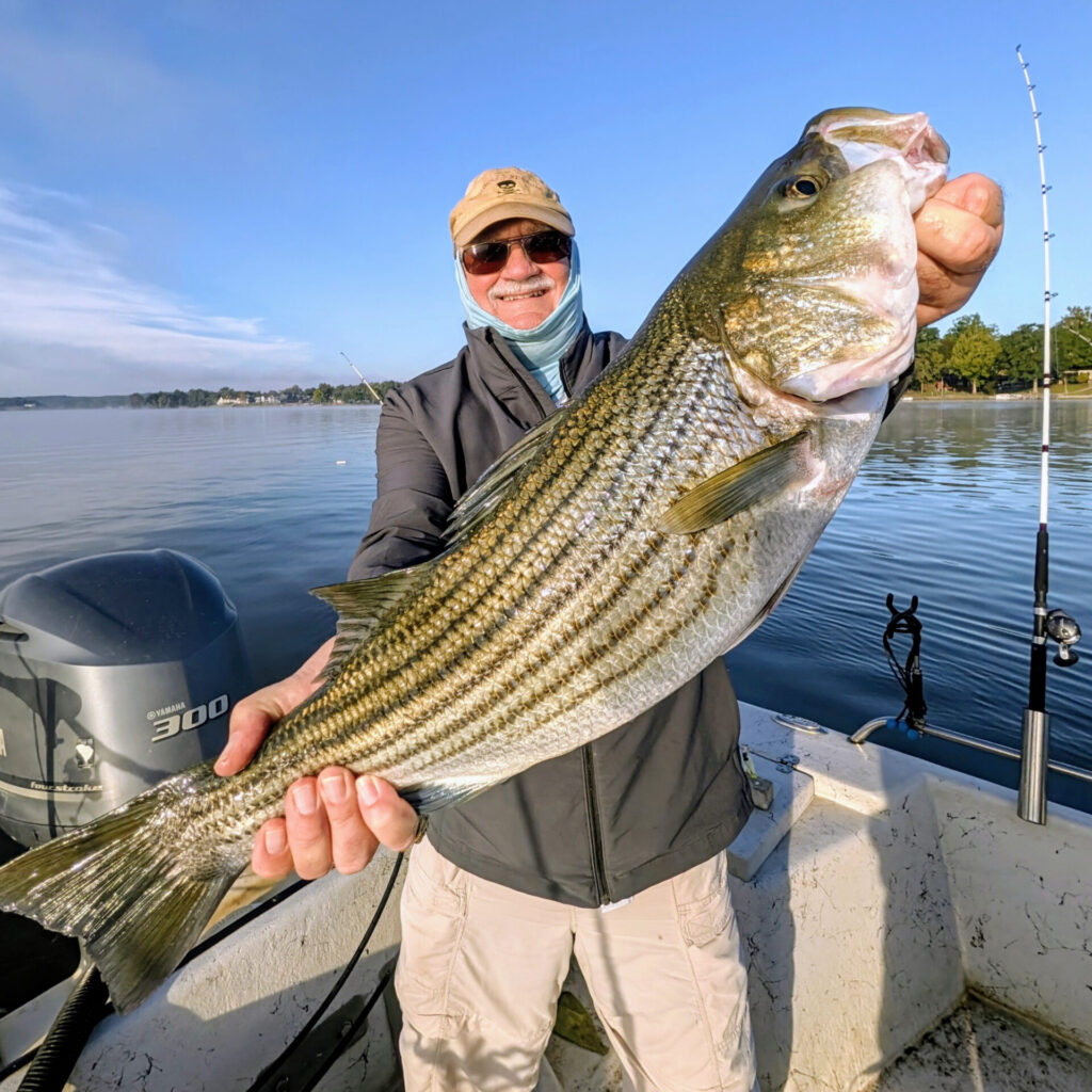 striper
