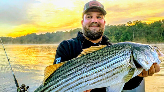 striper
