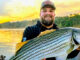 striper