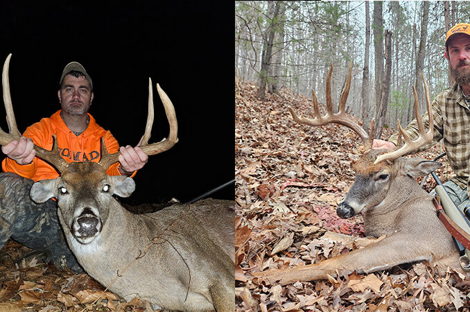 bucks