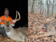 bucks